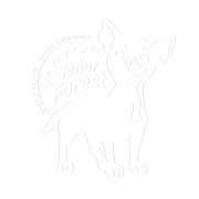 newlogo-sf-shadow